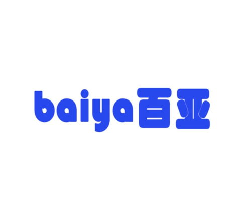 广东百亚科技有限责任公司