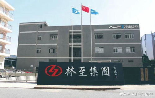 喜报 林至科技获批广东省科技专家工作站，助力广东科技创新发展