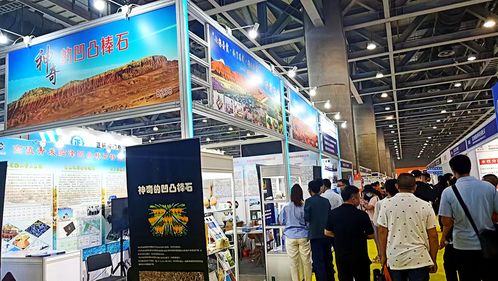 临泽凹凸棒石新材料亮相羊城 甘肃临泽赴粤招商推介成果丰硕